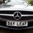 Bay Leaf
